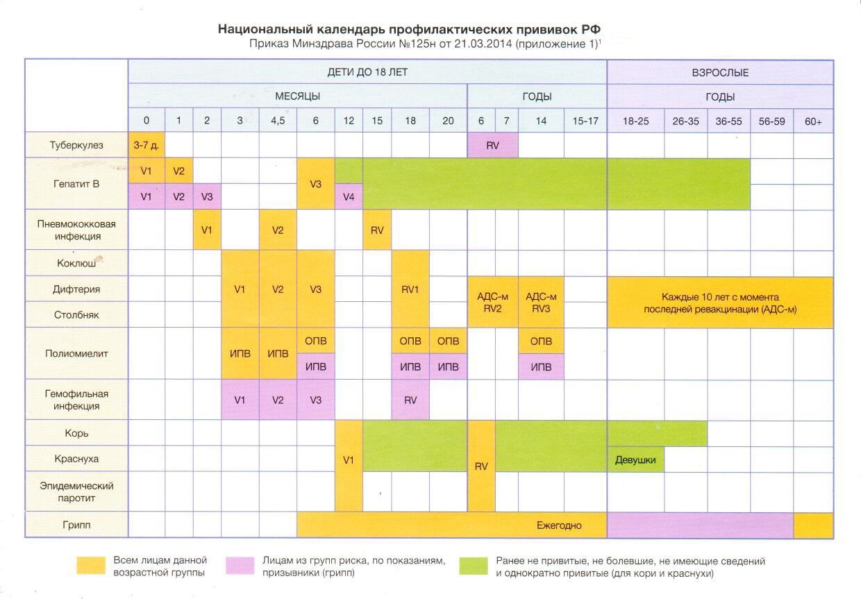 График прививок детям - сроки плановых прививок, календарь прививок детей -  Переделкино Ближнее (Москва)